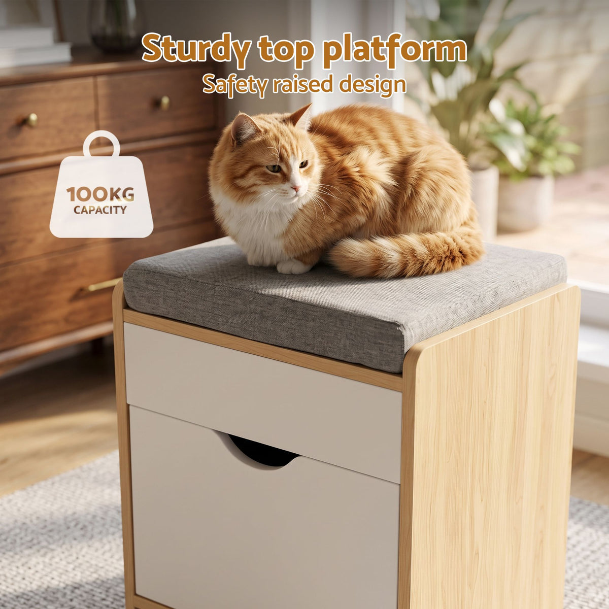 Artiss Storage Ottoman with Drawer 100kg Capacity Footrest Cushion Oak