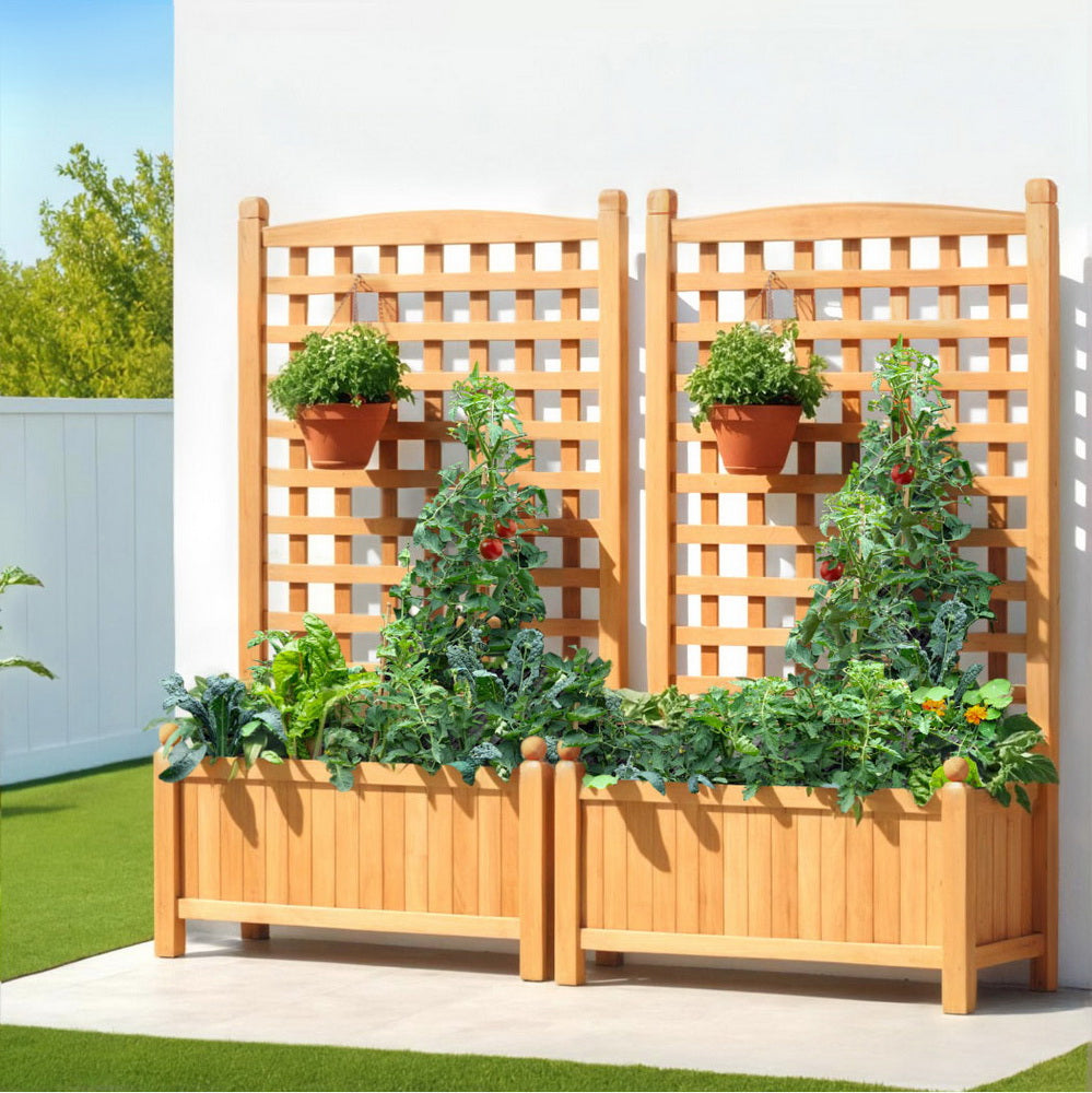 Green Fingers 2X Garden Bed Wooden 64x35x115cm Planter Raised Box Container Trellis