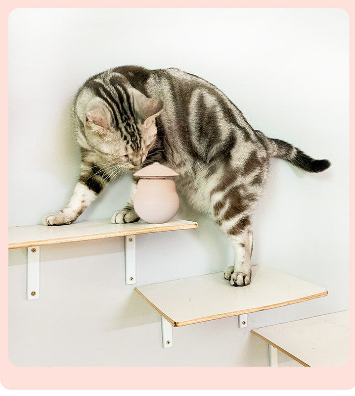 Pet products Pet Toy Cat Laser Toy Tumbler Intelligent Induction Cat Laser Rod