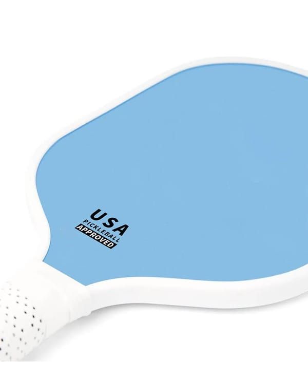 Deep Blue Pickleball Set: 2 Paddles, 4 Balls, Carrying Bag