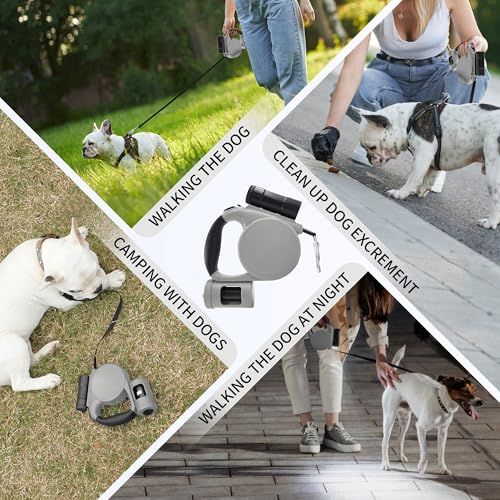 Versatile Retractable Dog Leash for Small & Medium Dogs, Ideal for Daily Walks & Outdoor Adventures, 16.4FT (Blue)