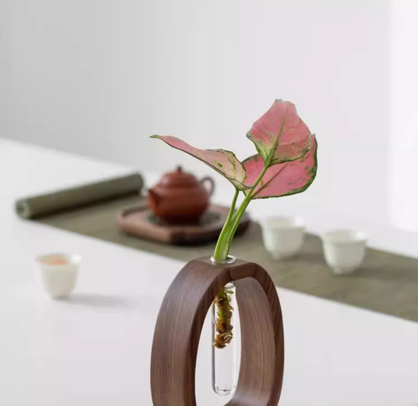 Wooden Glass Hydroponic Vase – Minimalist Desktop Flower Vase for Water Plants & Blooms (9.5cm) | Other Sizes Available in Store