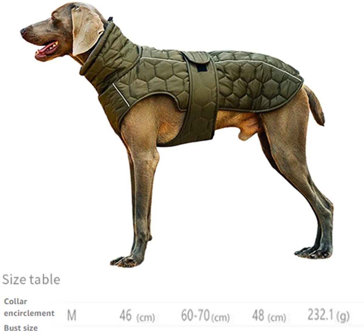 Dog Coat - Winter Dog Coat - Warm Dog Coat - Waterproof Dog Coat - Adjustable Reflective Coat - Velcro Design - Ideal for Medium-Sized Dogs - Size M - Green