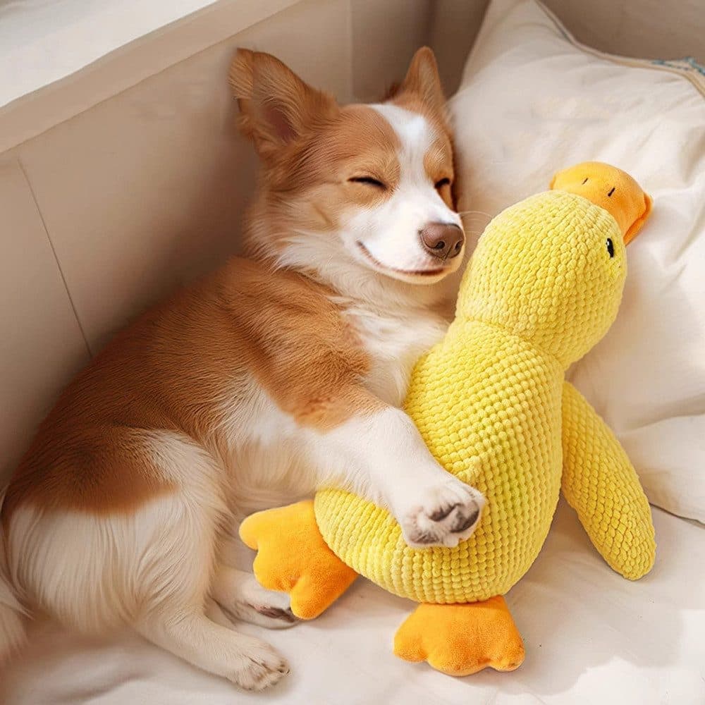 1 Calming Dog Toy Plush Duck with Squeak for Small Dogs, S