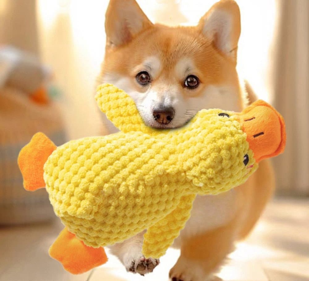 1 Calming Plush Duck Dog Toy with Squeaker for Small Dogs, M