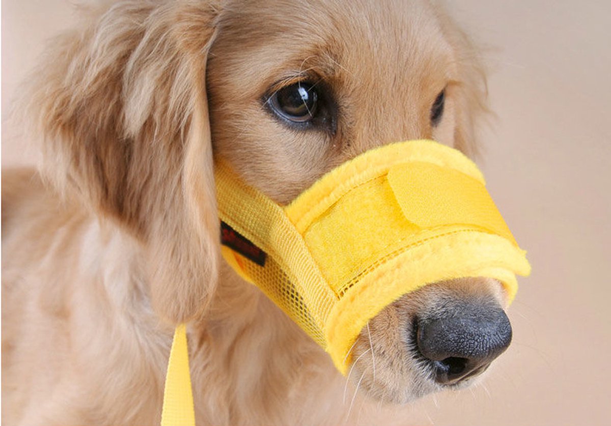 Muzzle for dogs - Soft, breathable - Small dogs, size M yellow