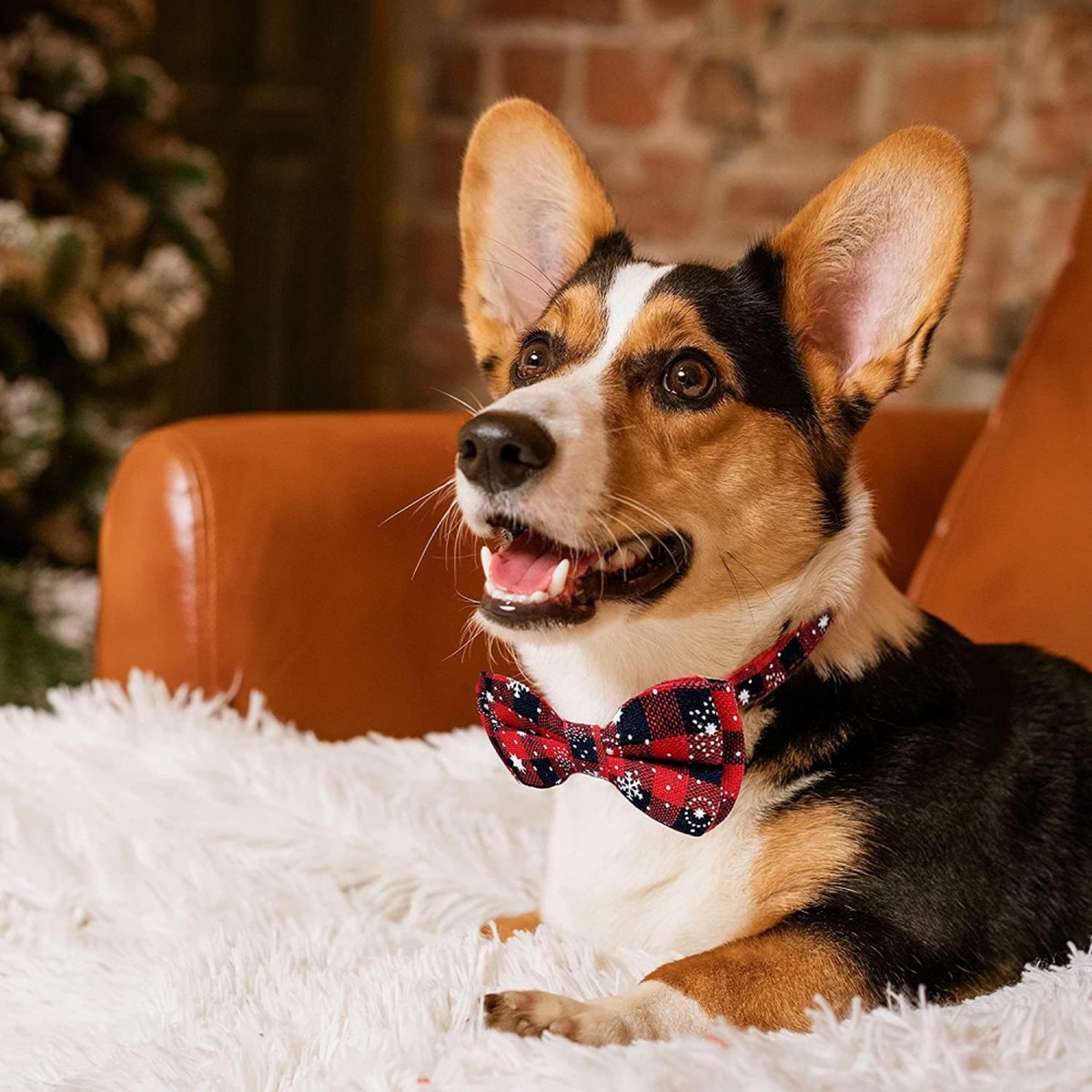 Christmas Dog Bow Tie - Festive Dog Bow Tie - Collar with Bow - Dog Collar - Red - Checkered Bowtie - Adjustable Neckline - Dog Accessories - Dog Clothing - Dogwear - Christmas - Gift - Size XL