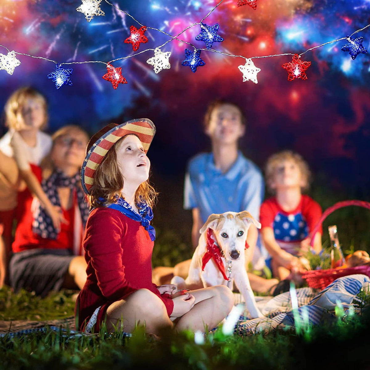 20 LED Rattan Star String Lights, Battery Operated Red, White and Blue Decorative Lights for Indoor Parties and Patriotic Events