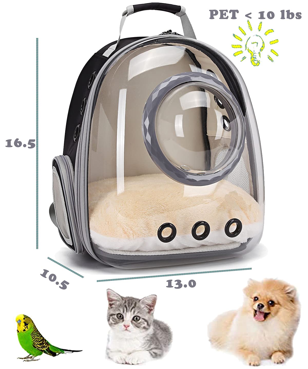 Cat Backpack - Cat Travel Basket - Cat Carrier - Small Dog Backpack - Transparent Pet Backpack - Cat Transport Box - Dog Travel Bag - Breathable Cat Basket - Backpack with Window - Pet Supplies - Hiking Backpack - Black - 1 Piece