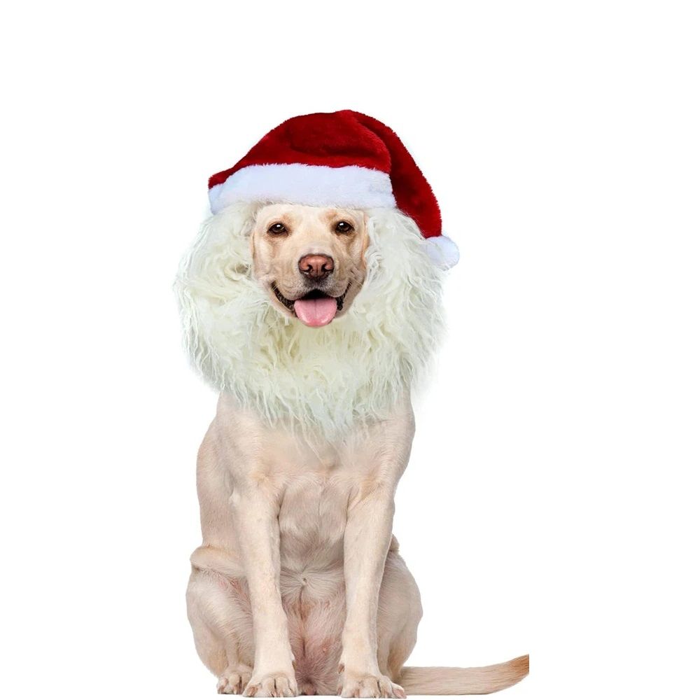 Christmas Dog Santa Costume, Adjustable Red Santa Hat with White Beard Wig, Christmas Costumes for Small Medium Large Dogs (White, M)
