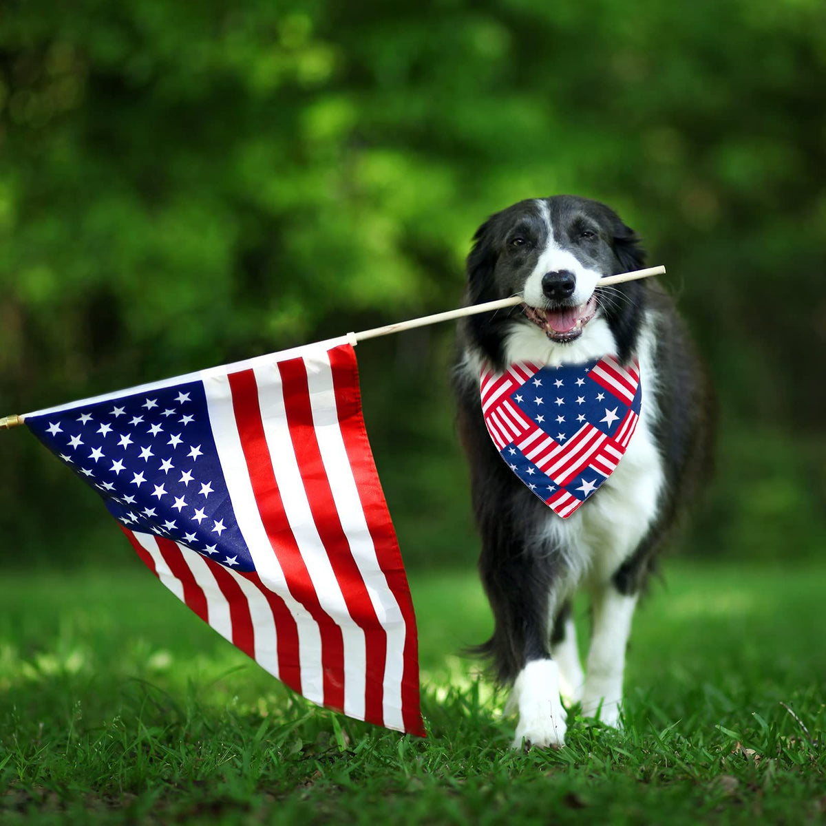 4th of July Dog Bandanas 4 Pack Patriotic Stars and Stripes Triangle Bibs Red Blue American Flag Pet Scarf Washable Pet Neckerchie