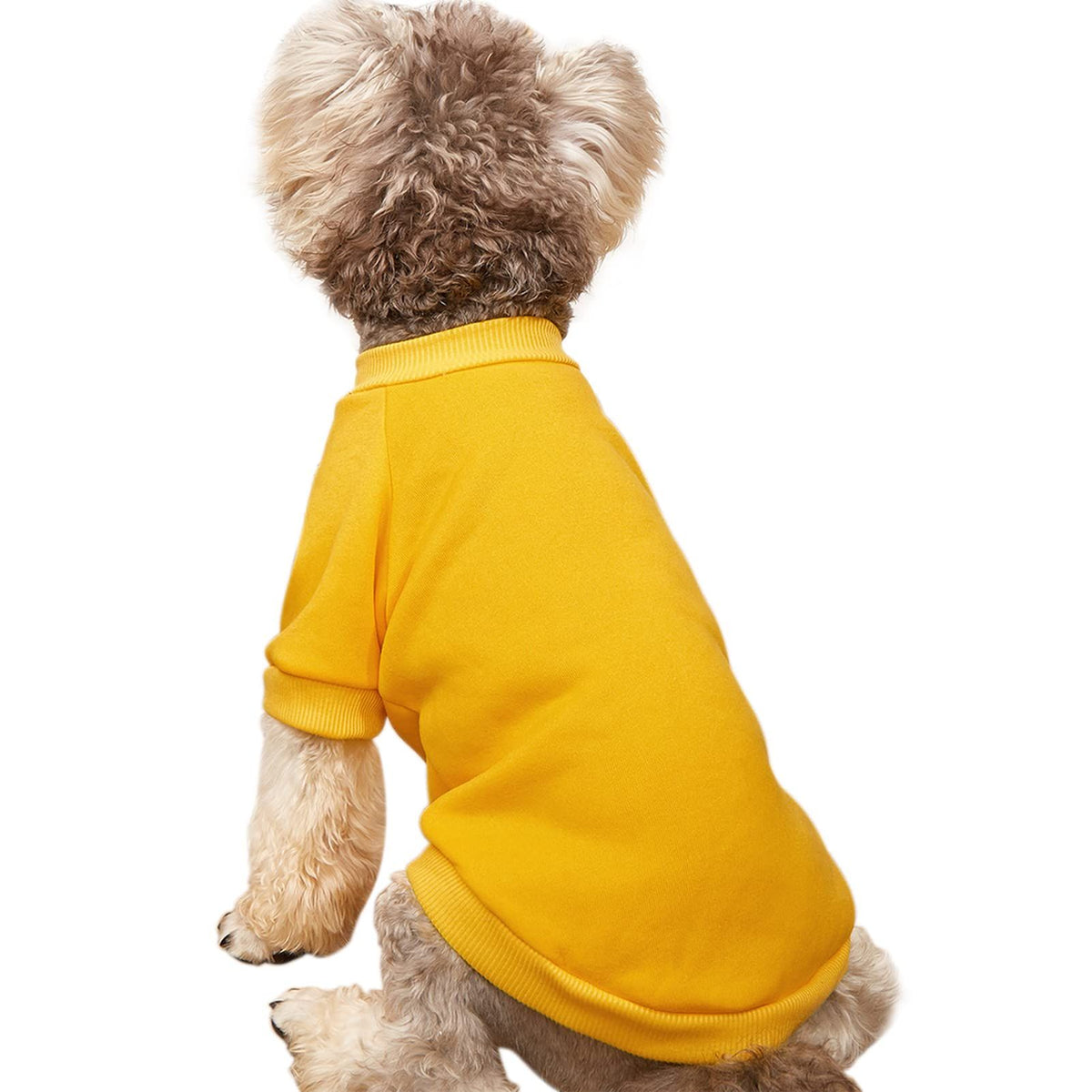 Puppy Sweater for Small Dogs Clothes Warm Winter Cat Clothe Pet Sweatshirt Knitwear Doggie Kitten Clothing, Yellow, Medium