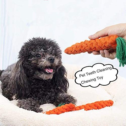 4 Pieces Pet Dog Puppy Cat Toy Chew Knot Cotton Knot Carrot,Pet Teeth Cleaning Chewing Toy,Cotton Rope Chewer for Pet