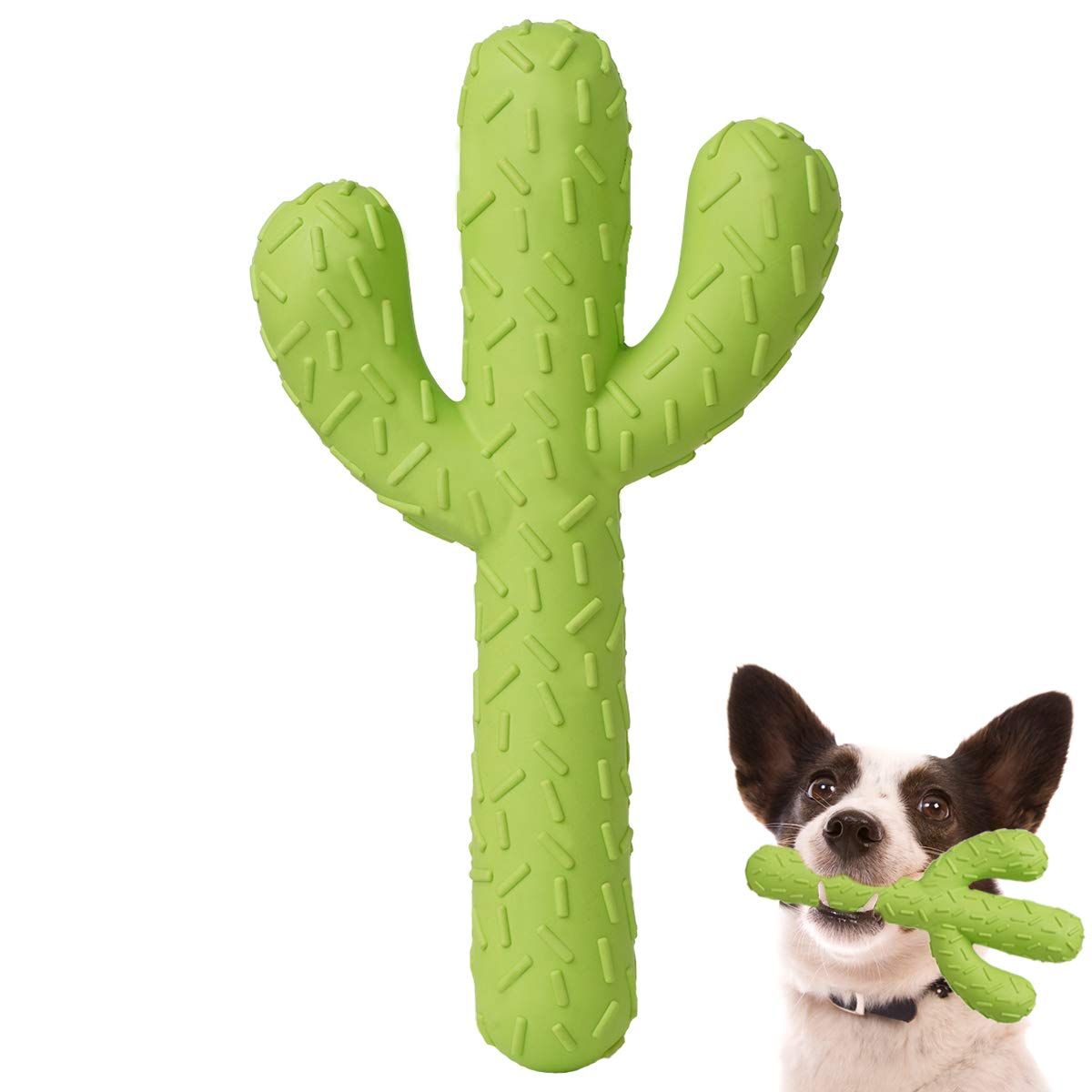 Dog Chew Toys, Tough Rubber Dog Toys for Aggressive Chewers, Cactus Dog Toys for Training and Cleaning Teeth