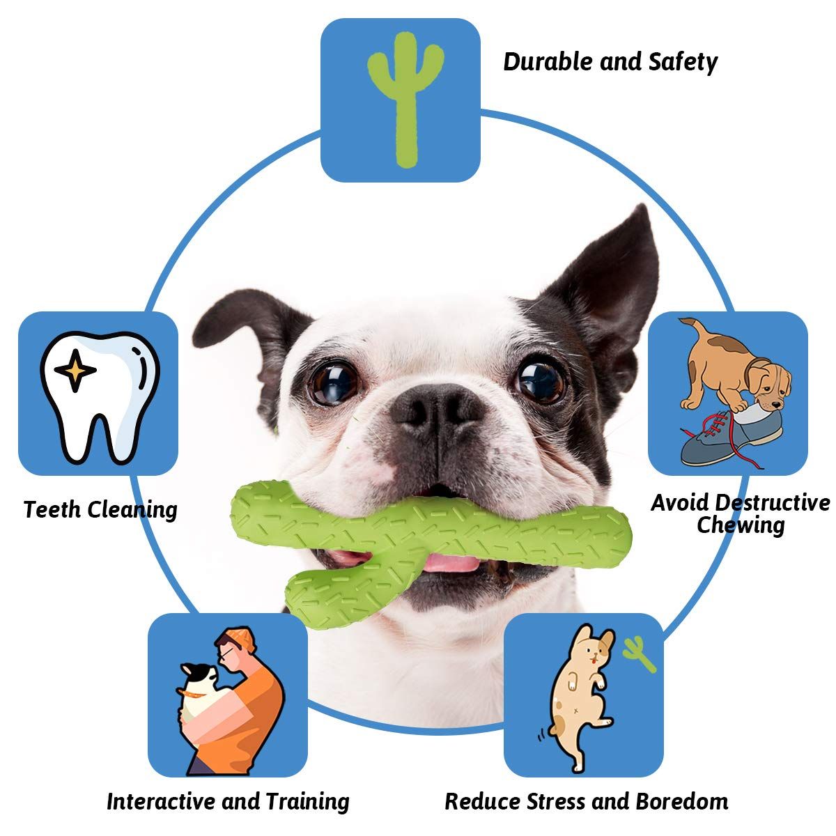 Dog Chew Toys, Tough Rubber Dog Toys for Aggressive Chewers, Cactus Dog Toys for Training and Cleaning Teeth