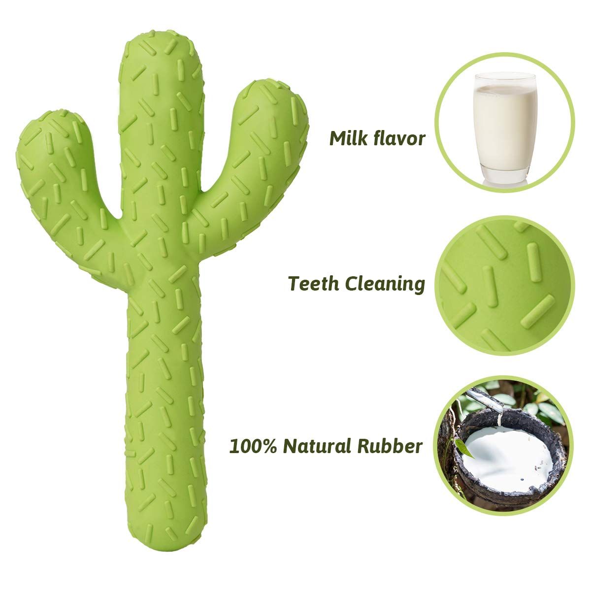 Dog Chew Toys, Tough Rubber Dog Toys for Aggressive Chewers, Cactus Dog Toys for Training and Cleaning Teeth