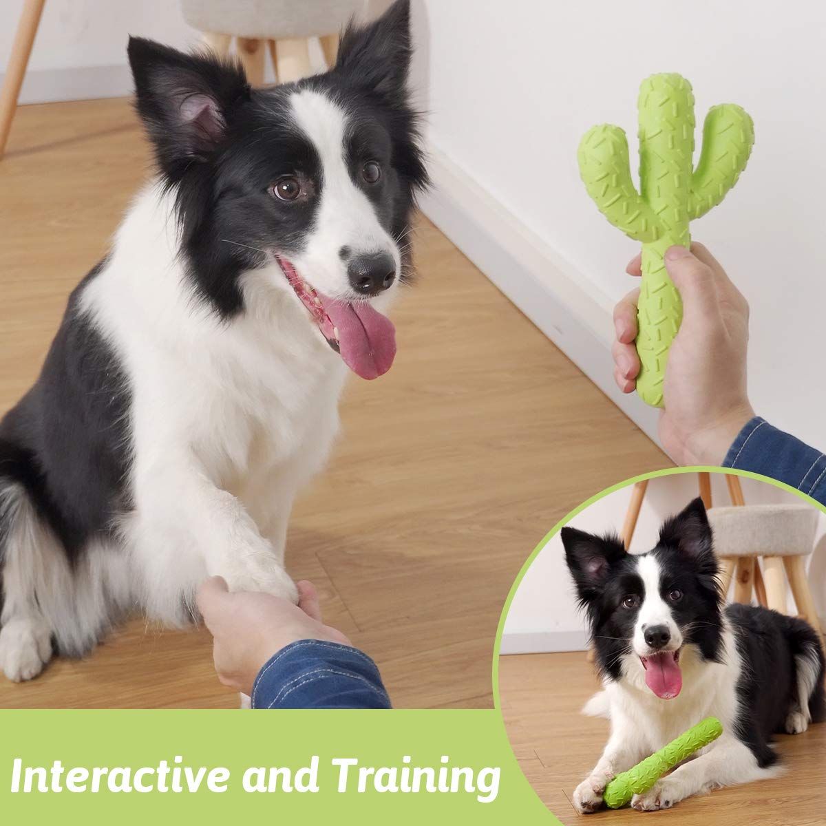 Dog Chew Toys, Tough Rubber Dog Toys for Aggressive Chewers, Cactus Dog Toys for Training and Cleaning Teeth
