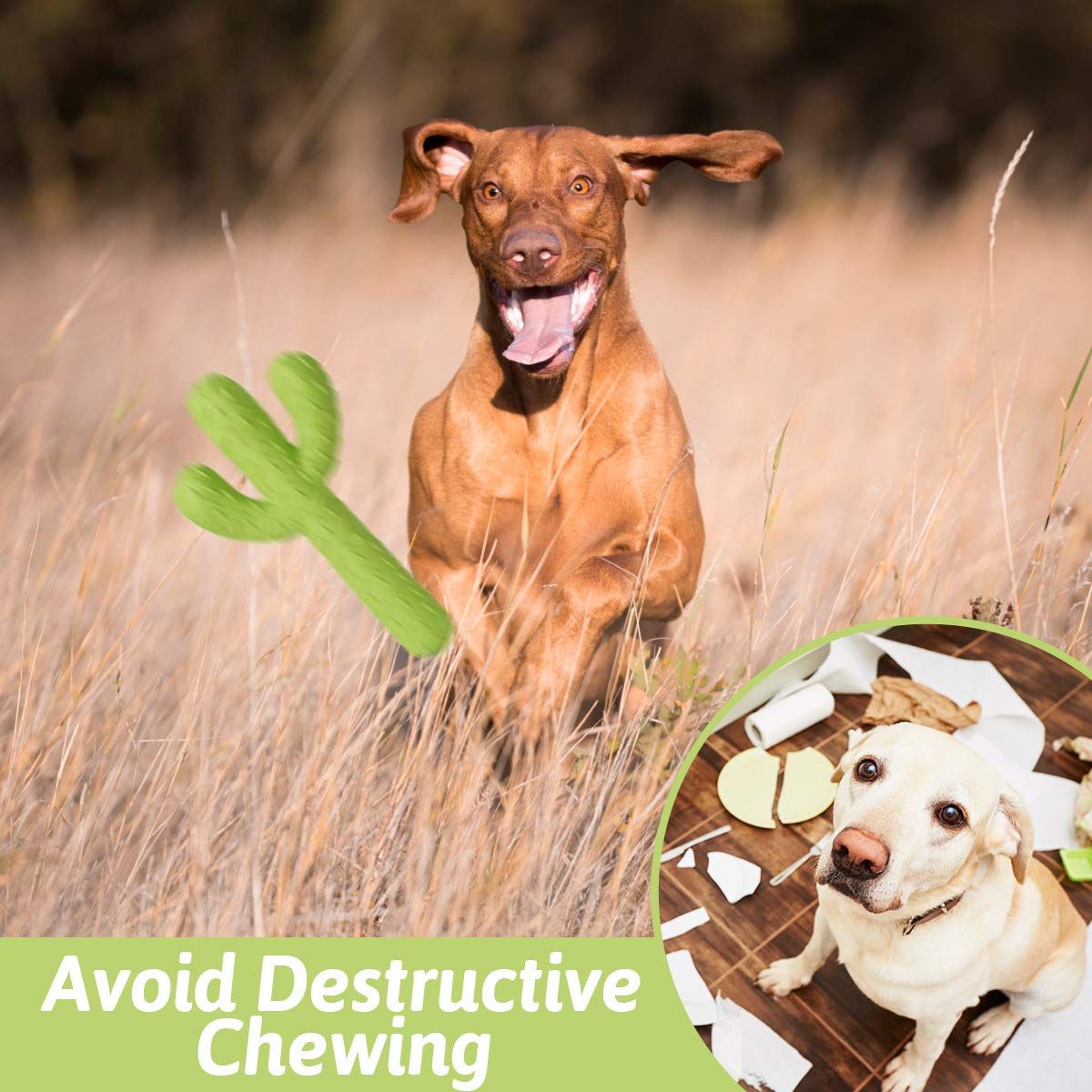 Dog Chew Toys, Tough Rubber Dog Toys for Aggressive Chewers, Cactus Dog Toys for Training and Cleaning Teeth