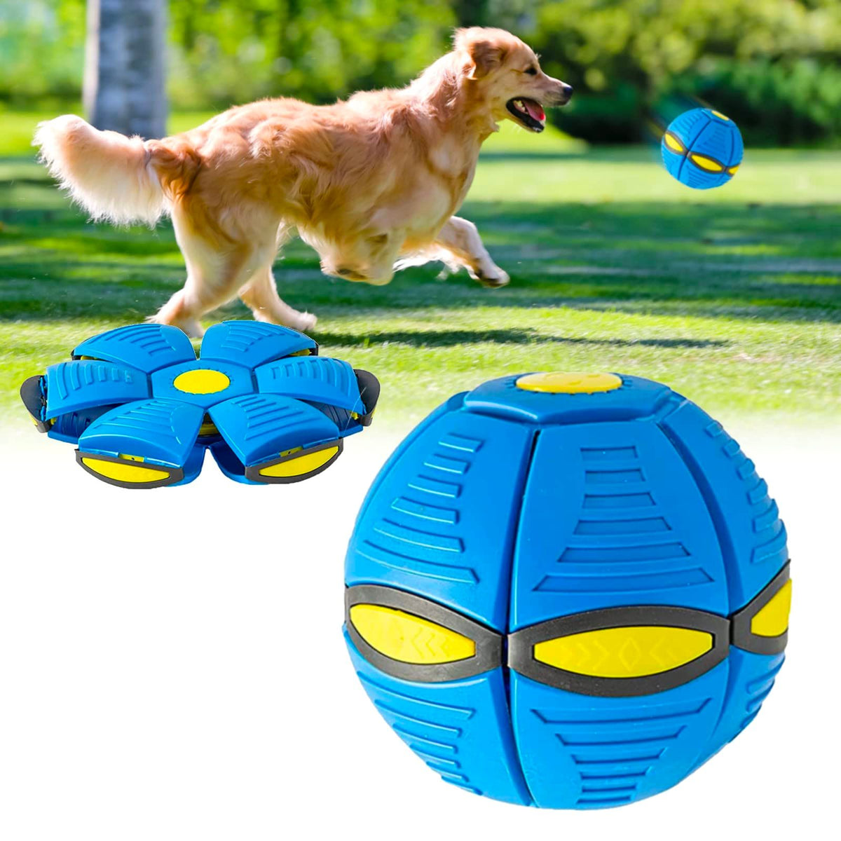 New Doggy disc Ball, Interactive Flying Saucer Ball Dog Toys, pop up Ball for Dogs, Variable Form Pet Toys (Blue)