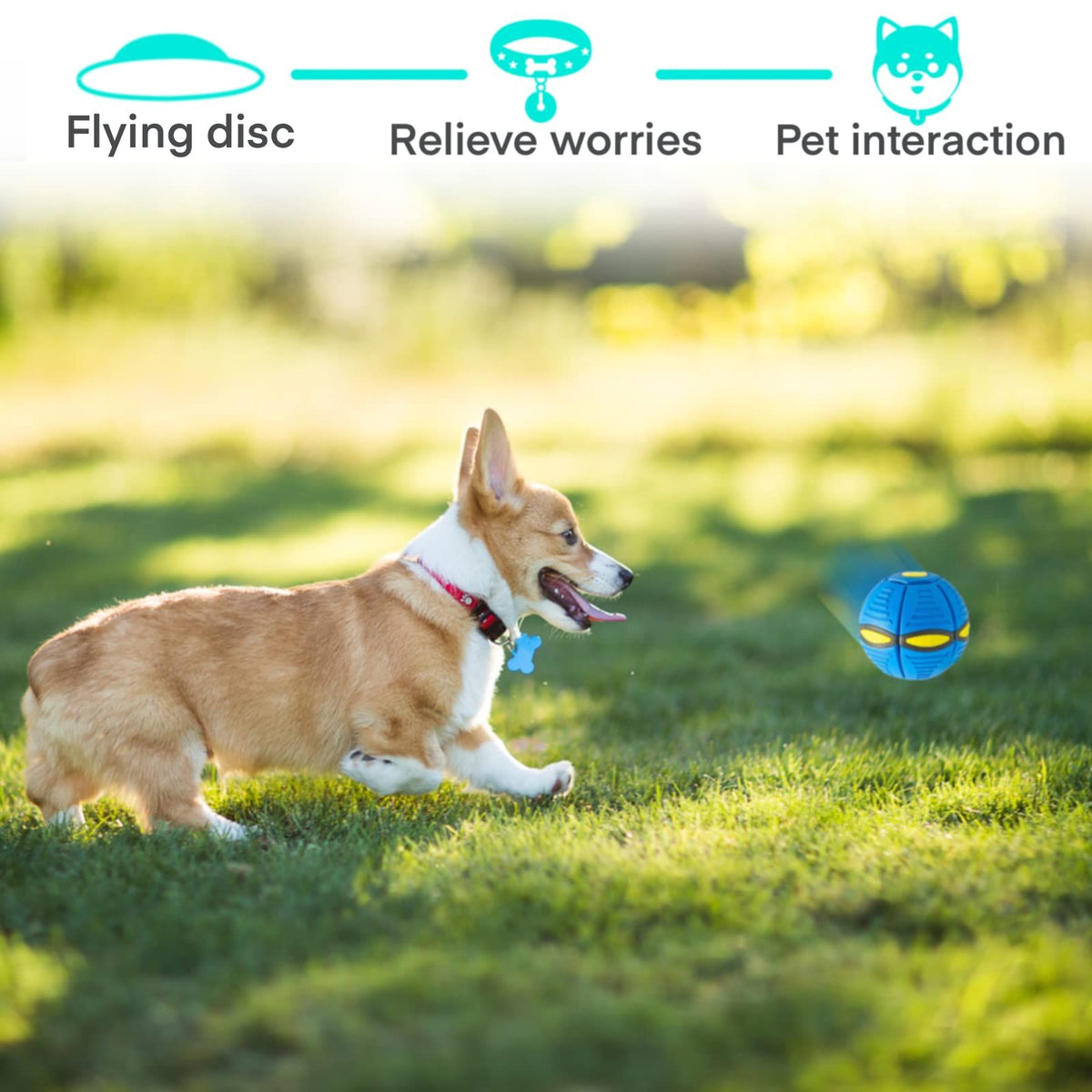 New Doggy disc Ball, Interactive Flying Saucer Ball Dog Toys, pop up Ball for Dogs, Variable Form Pet Toys (Blue)