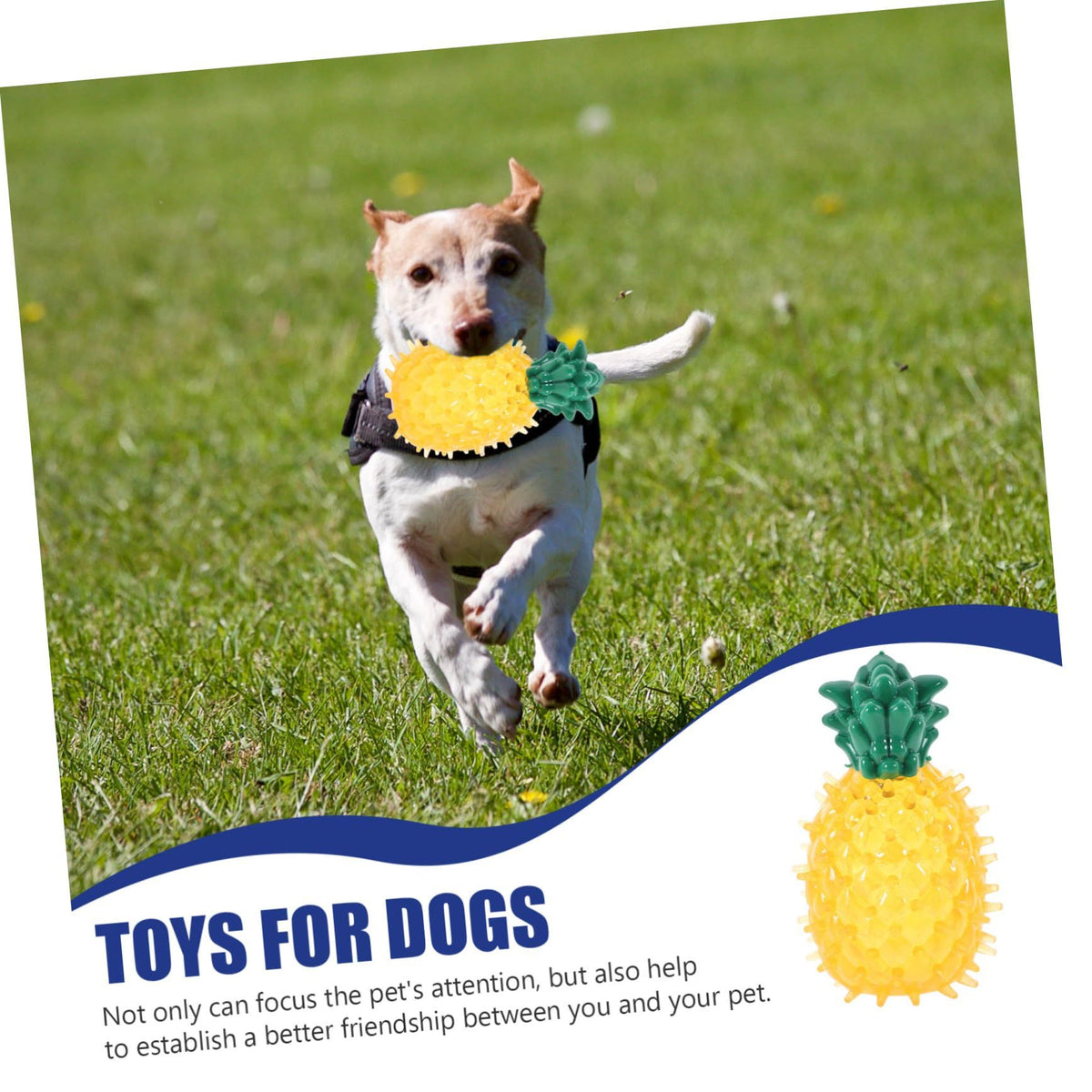 Chew Toys, Dog Squeaky Toys Cute Fruits Dog Toys Teeth Cleaning and Training for Puppy Small Medium Dog Pets-2pcs