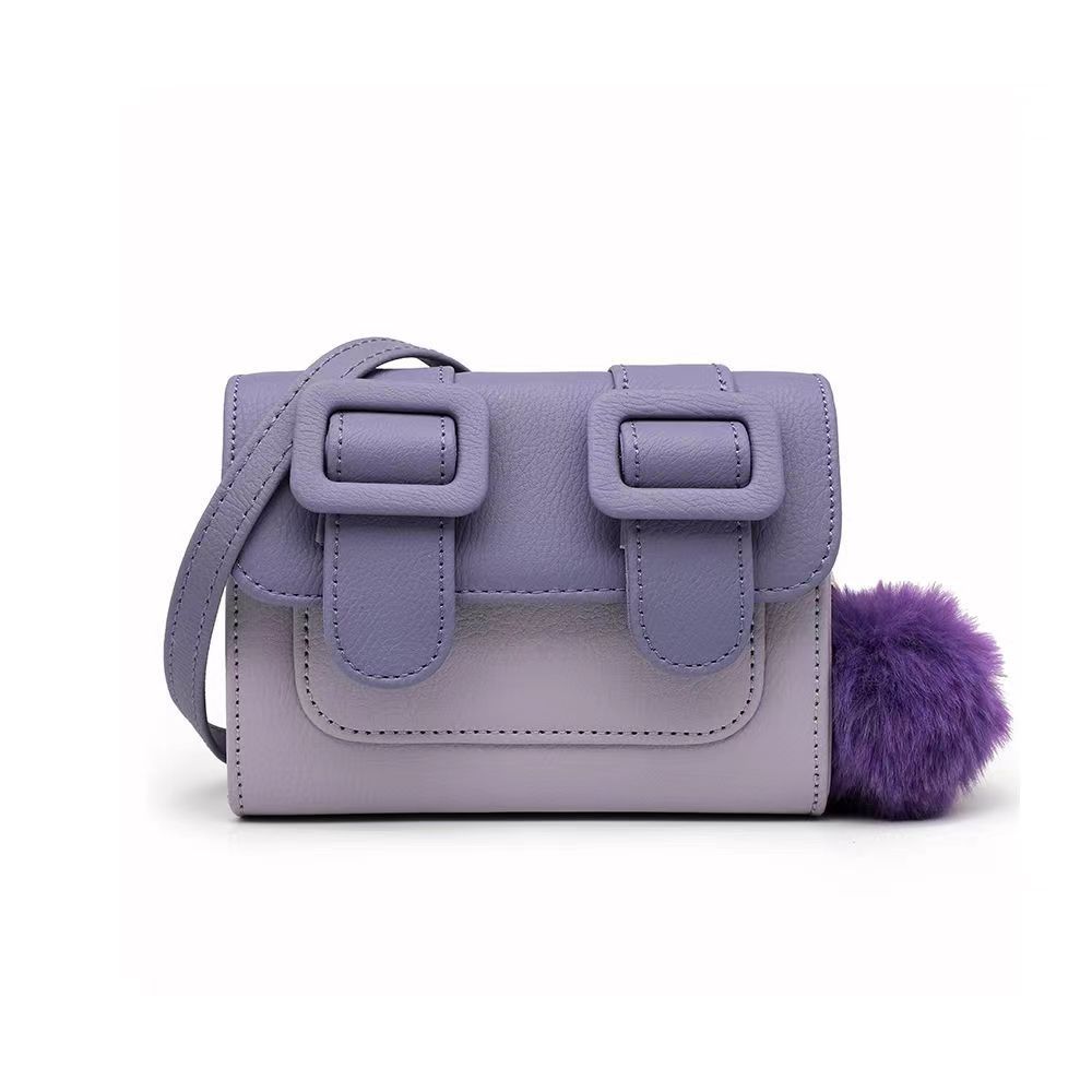 Shoulder Bag Purse 2 in 1 Crossbody Bag Handbag
Small Shoulder Purses for Women Women Handbag Female（2pcs）