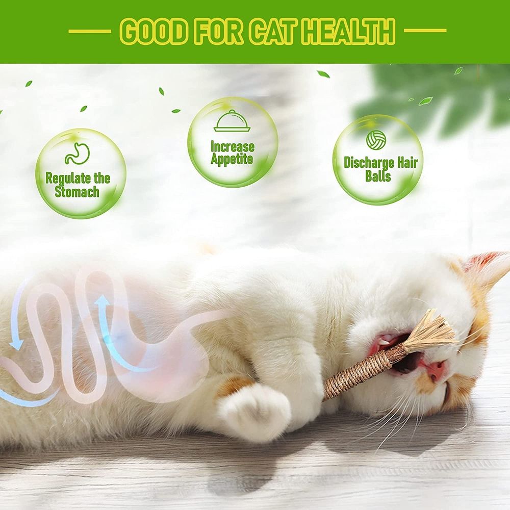 5PCS Natural Silvervine Stick Cat Chew Toy, 8.66 In Silvervine Sticks for Cats & Matatabi Silvervine Cat Toys for Indoor Cats, Natural Cat Chew Toys