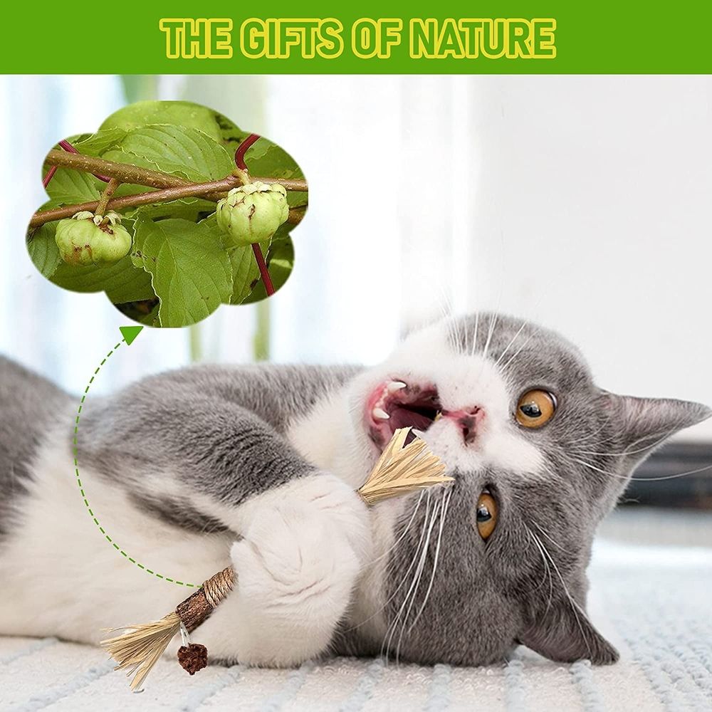 5PCS Natural Silvervine Stick Cat Chew Toy, 8.66 In Silvervine Sticks for Cats & Matatabi Silvervine Cat Toys for Indoor Cats, Natural Cat Chew Toys