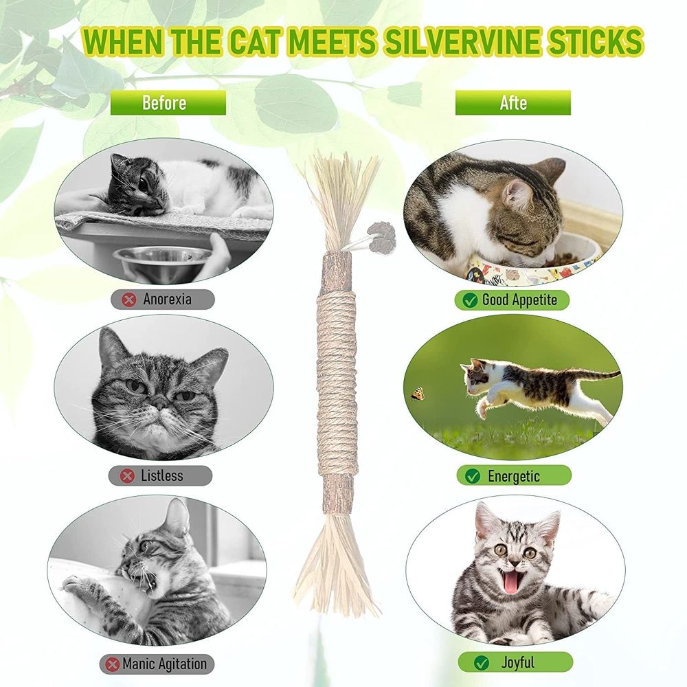 5PCS Natural Silvervine Stick Cat Chew Toy, 8.66 In Silvervine Sticks for Cats & Matatabi Silvervine Cat Toys for Indoor Cats, Natural Cat Chew Toys
