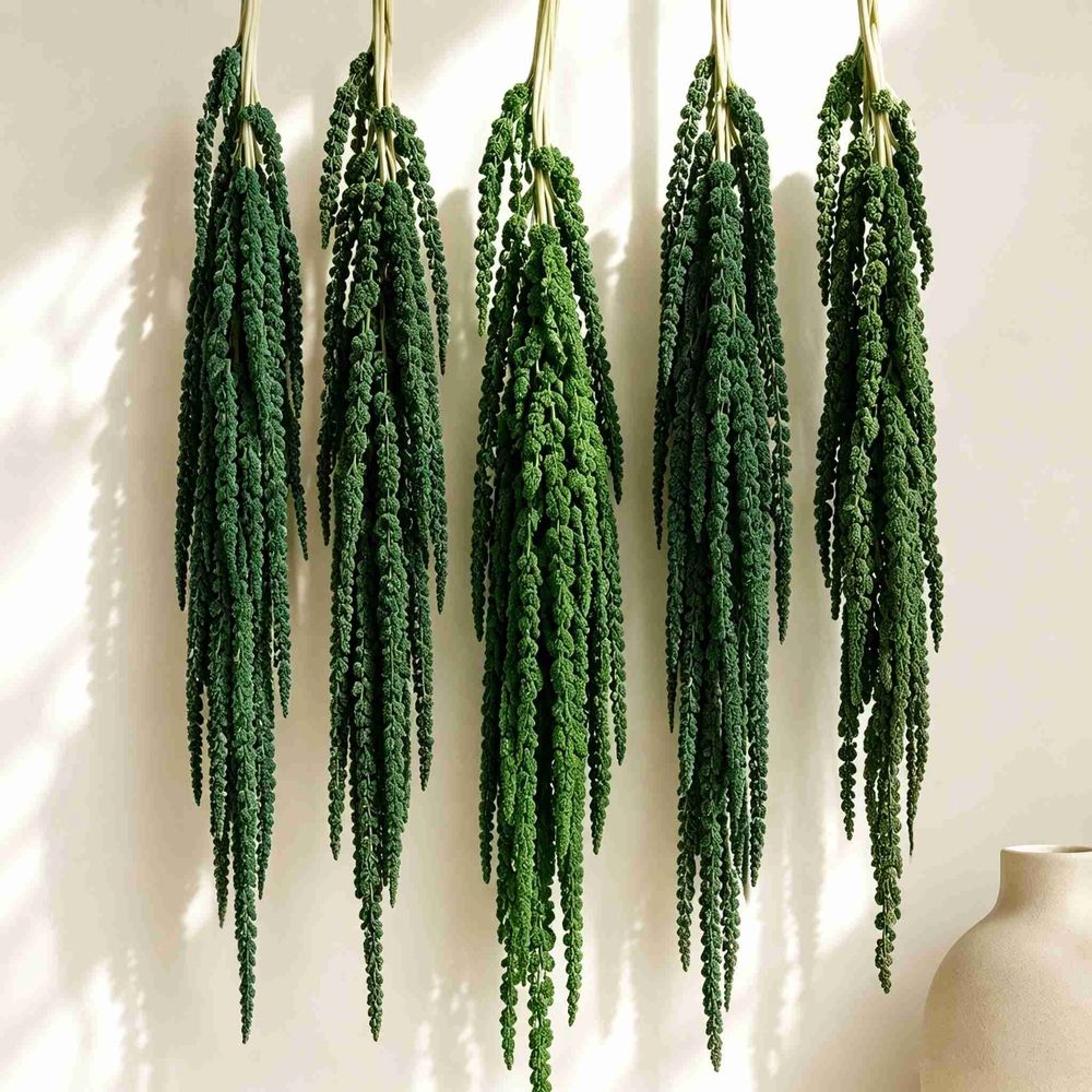 5Pcs Bleached Amaranthus Hanging Flowers, 23" Light Green Dried Preserved Hanging Wisteria Flowers for Wedding Bouquet, Wall Decoration, Home Decor