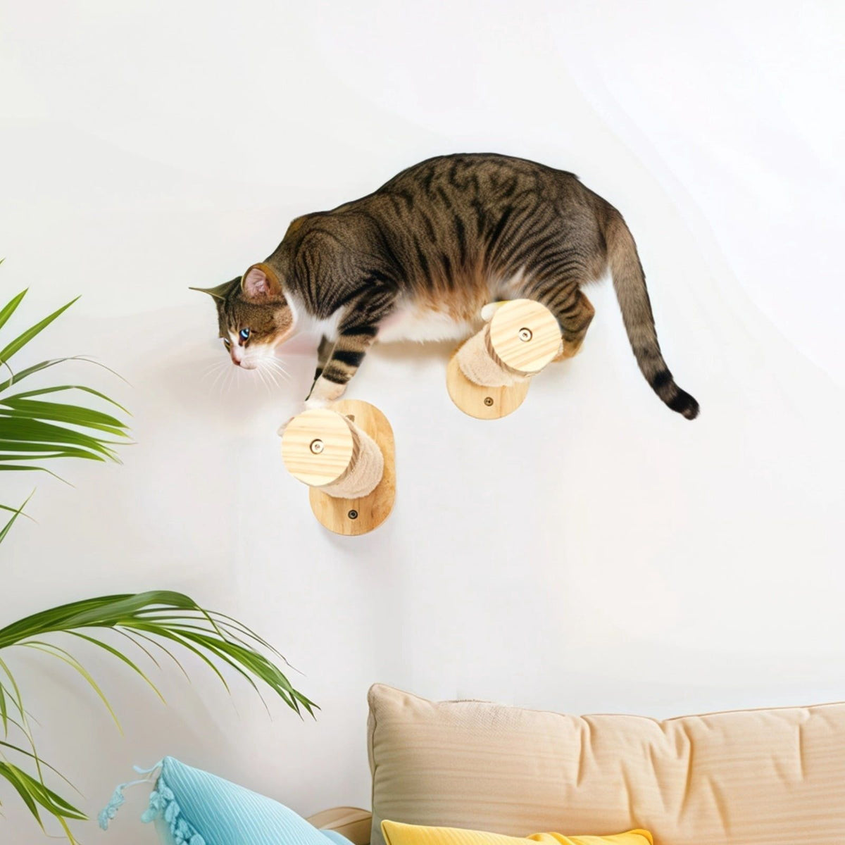 Cat Shelves for Wall, Wall Mounted Cat Furniture, Large Cats Set with Fukumaru Cat Wall Steps, Wooden Material, 11