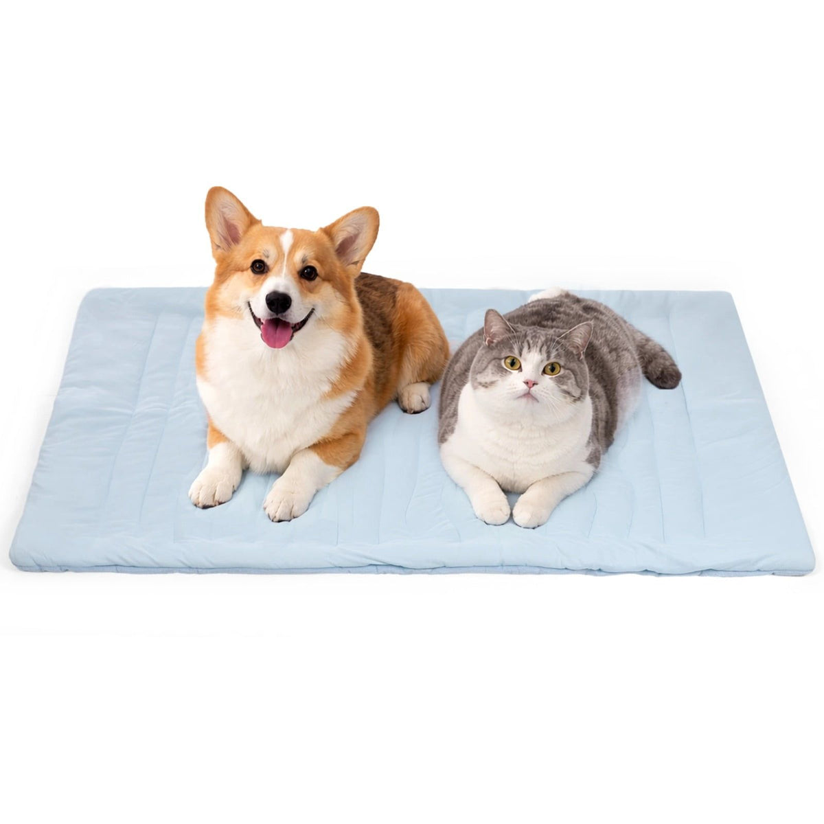 Pet Cooling Mat, Dual-Sided All-Season Comfort Pet Pad Blanket 35.8" x 22.8", Lightweight Portable Travel Bed for Dogs and Cats, Supports up to 44 lbs