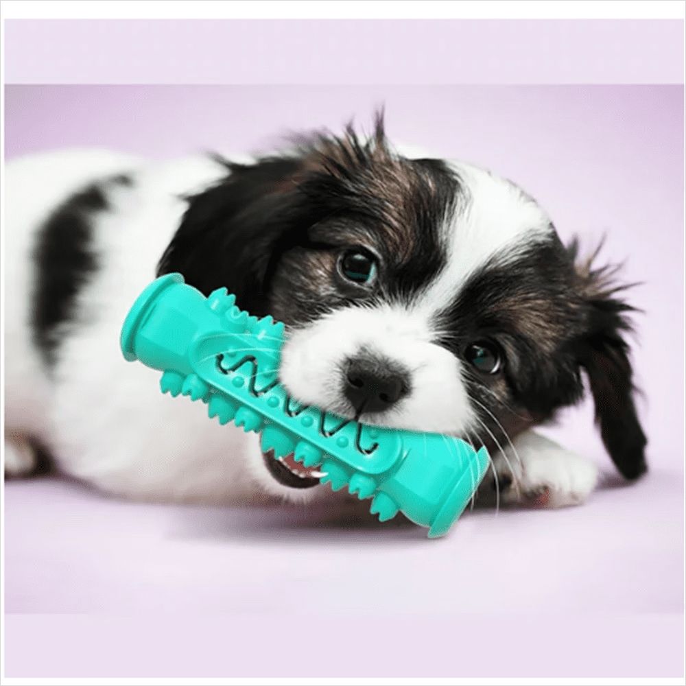 Dog Squeaky Toys for Aggressive Chewers, Tough Toothbrush Dog Chew Toy, Nearly Indestructible Rubber Toys for Pet Training, Teeth Cleaning, Playing and Chewing for Medium & Large Breeds