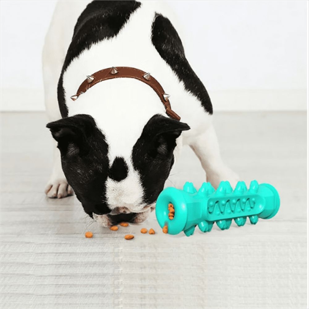 Dog Squeaky Toys for Aggressive Chewers, Tough Toothbrush Dog Chew Toy, Nearly Indestructible Rubber Toys for Pet Training, Teeth Cleaning, Playing and Chewing for Medium & Large Breeds