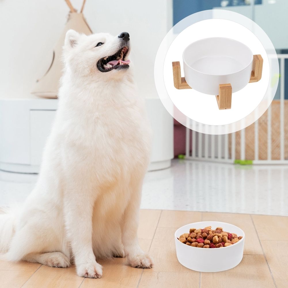 Ceramic Cat Dish Cat Food Bowl White Ceramic 1 Set