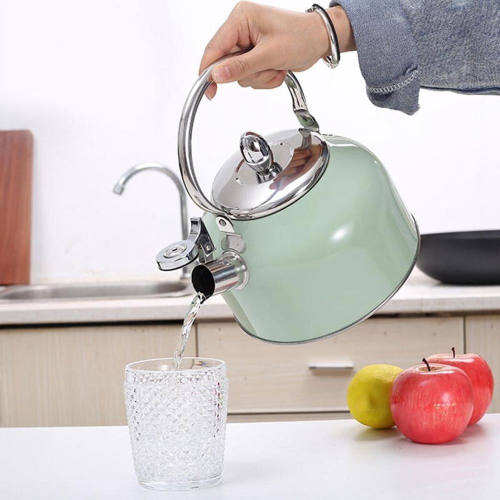 Stylish Stovetop Kettle, Stainless Steel Green, 19.5x17 Cm