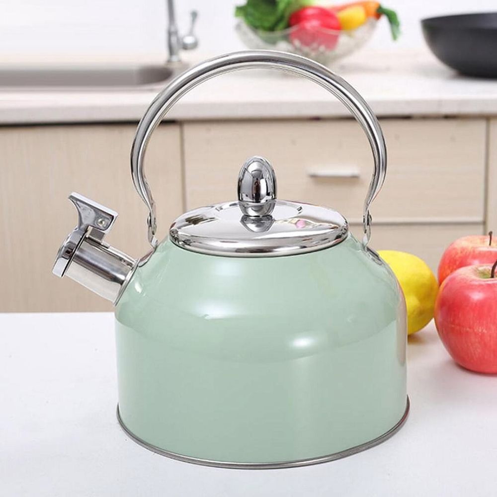 Stylish Stovetop Kettle, Stainless Steel Green, 19.5x17 Cm