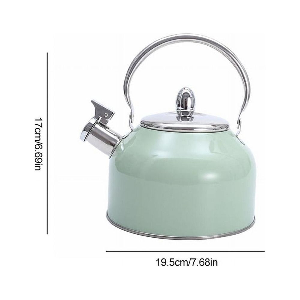 Stylish Stovetop Kettle, Stainless Steel Green, 19.5x17 Cm