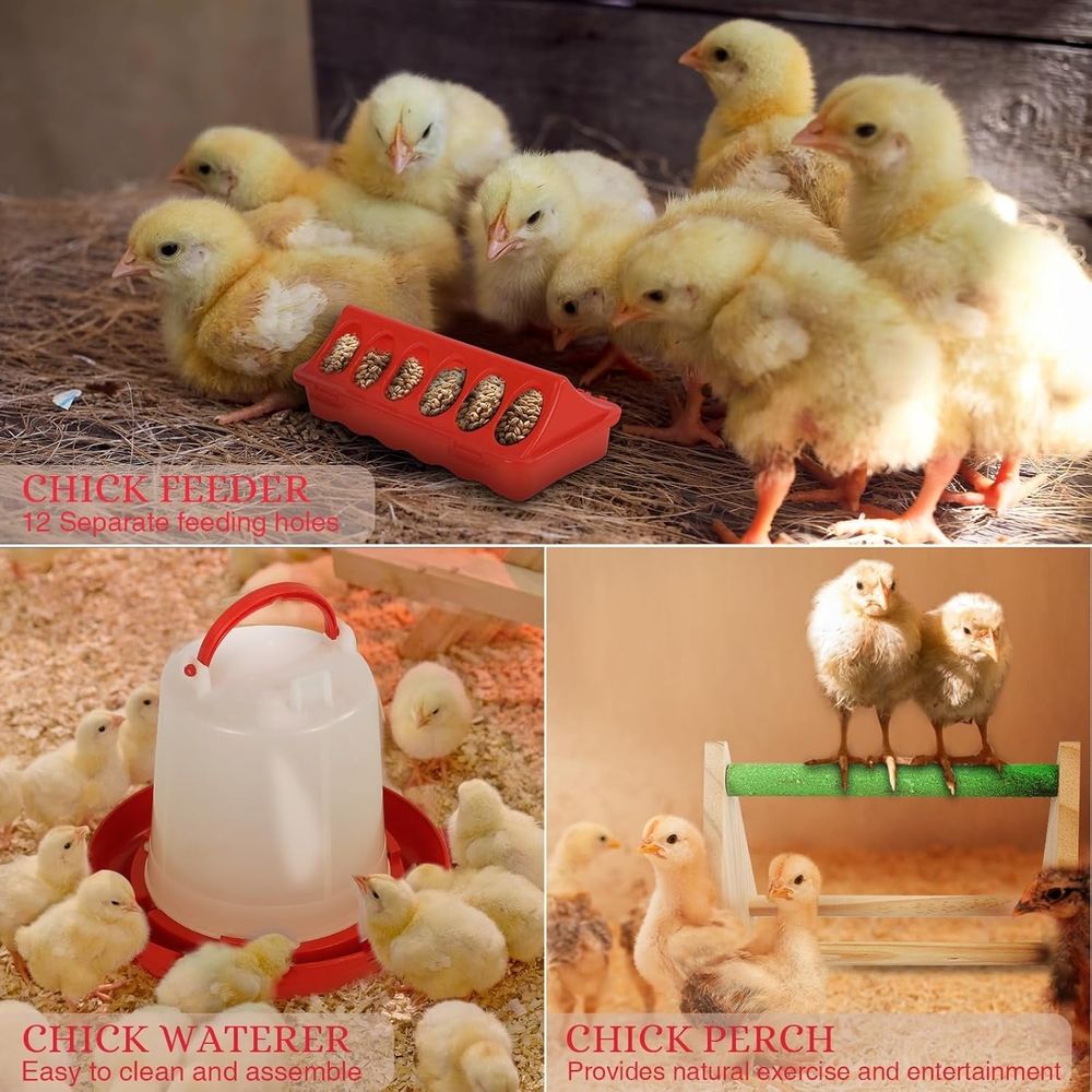 Starter Kit with Chicken Playpen Brooder Box with Tent Waterer Feeder Bundles
