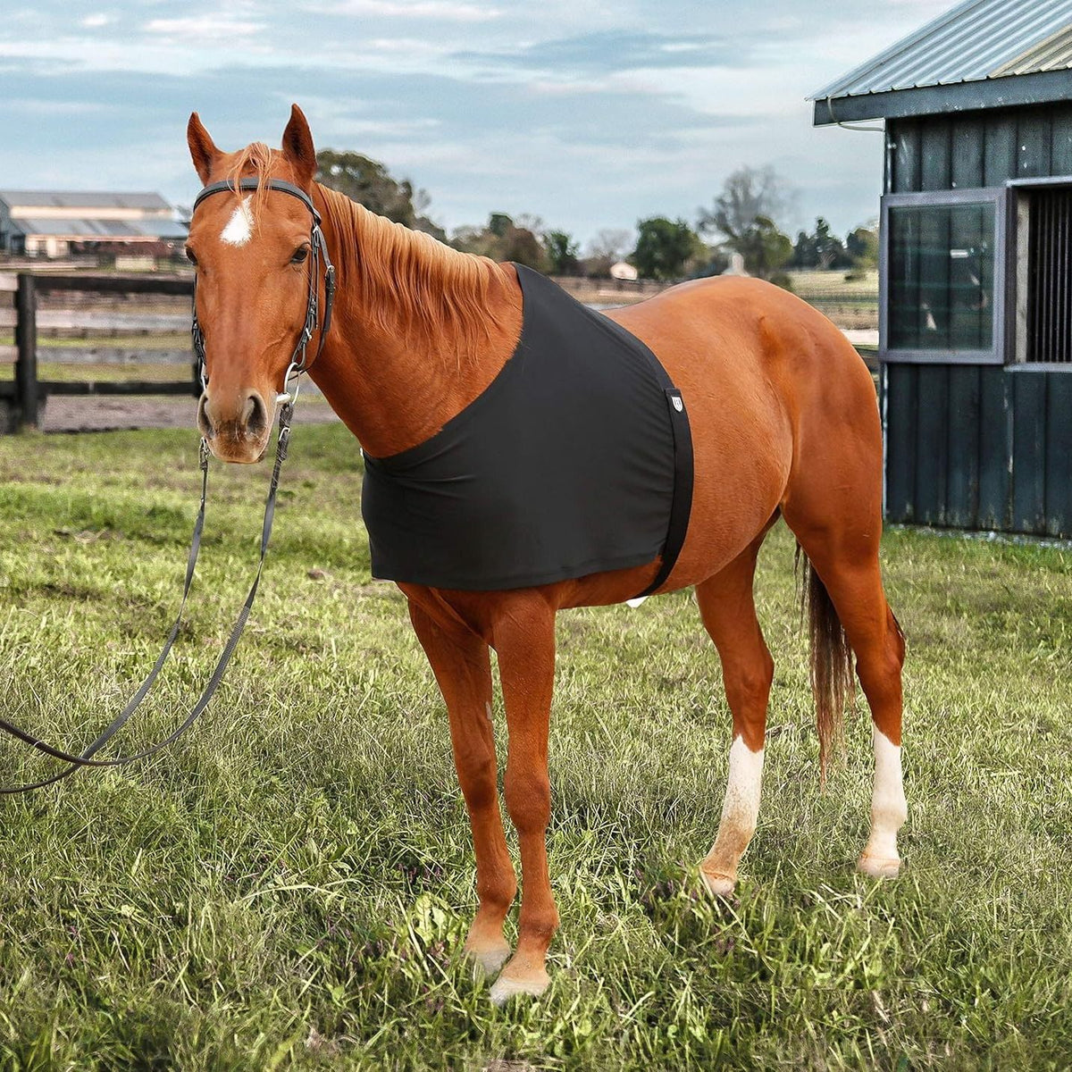 Horse Shoulder Guard, High Elastic Spandex Fabric Horse Vest - Anti-Rub Bib -Comfort Stretch Horse Shoulder Guard  Black