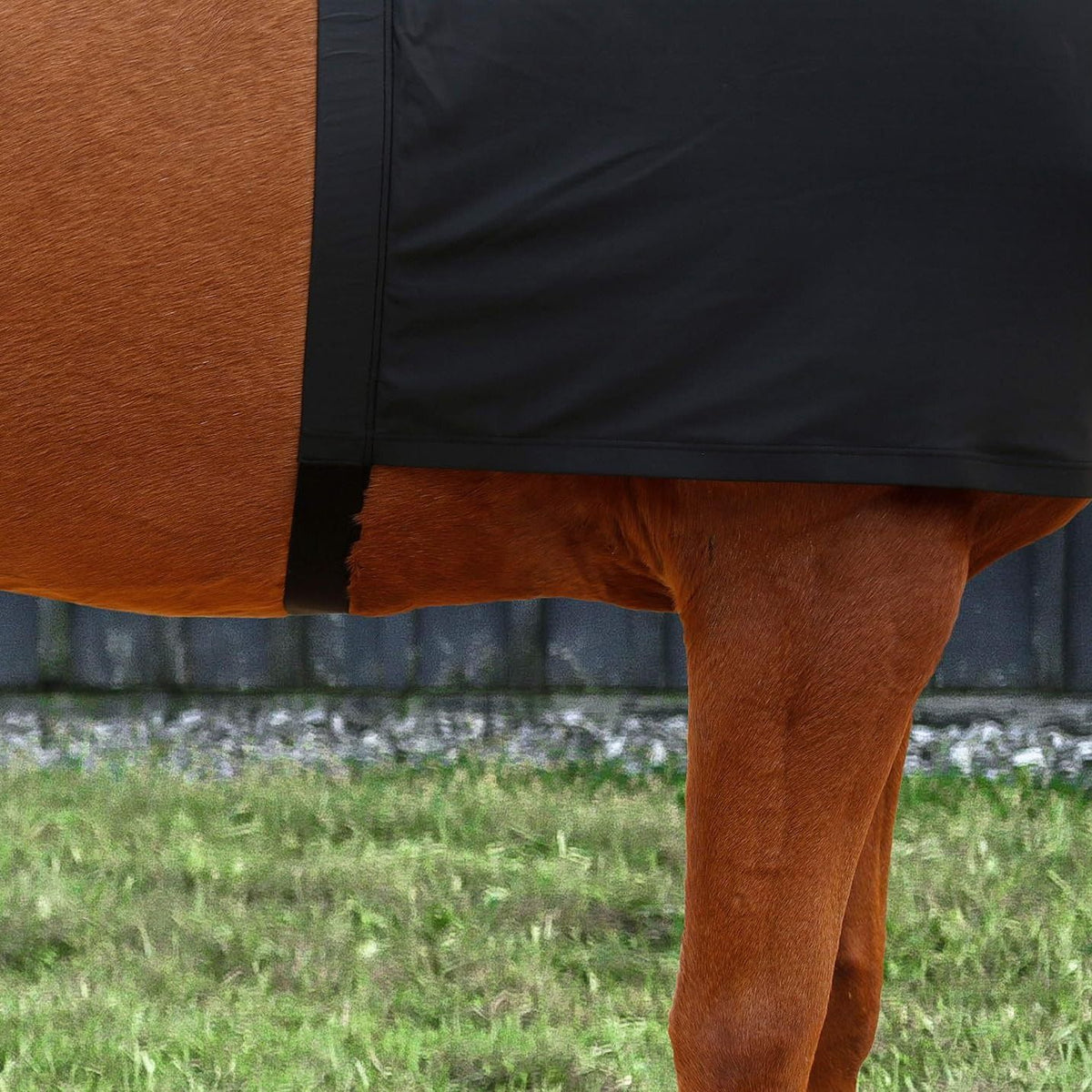 Horse Shoulder Guard, High Elastic Spandex Fabric Horse Vest - Anti-Rub Bib -Comfort Stretch Horse Shoulder Guard  Black