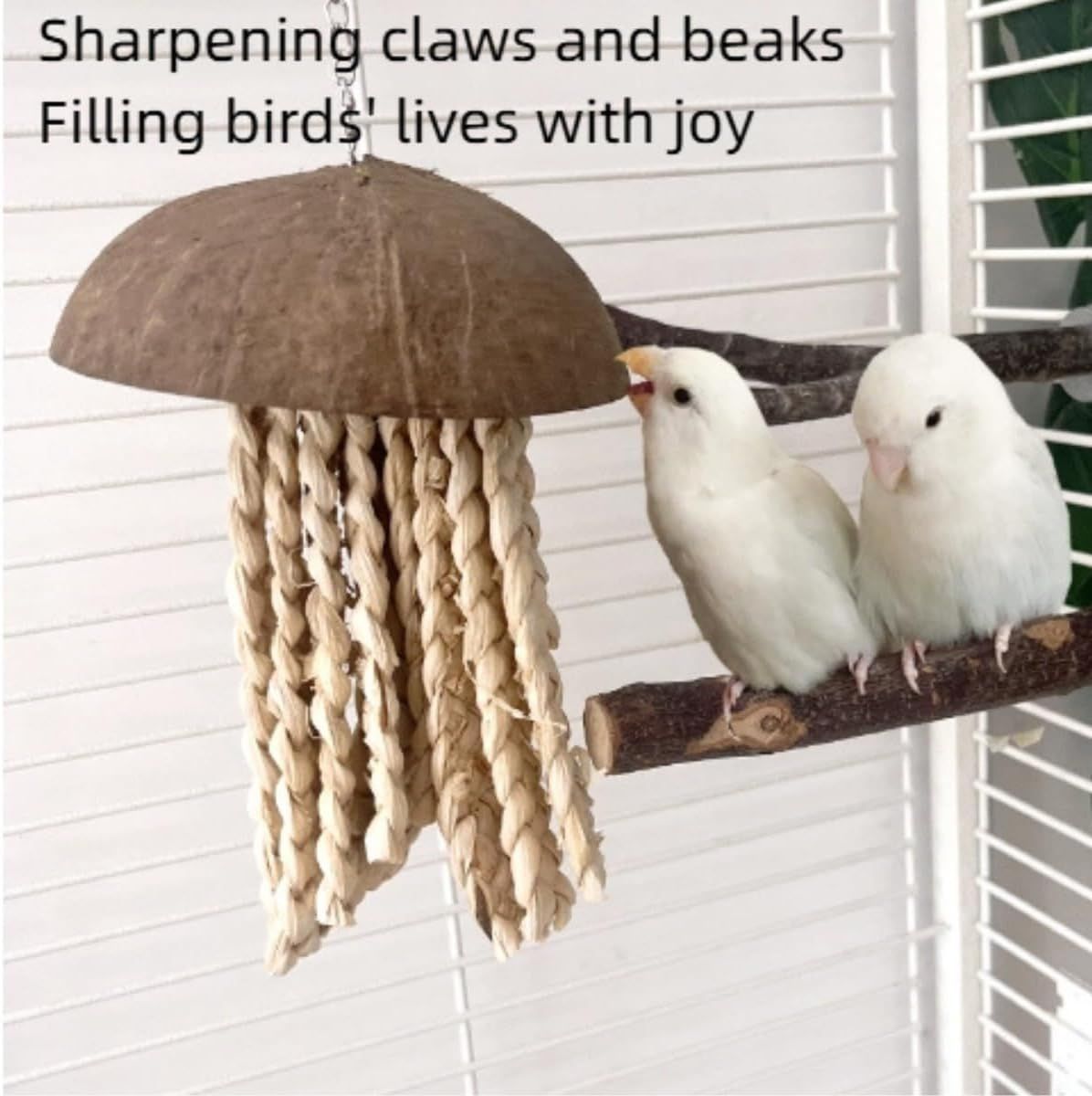 Bird Chew Toys, Coconut Shell with Corn Husks for Parrot Beak Grinding, Coconut Shell Shredding Toy for Parakeet Lovebird Conure Budgies Cockatiel