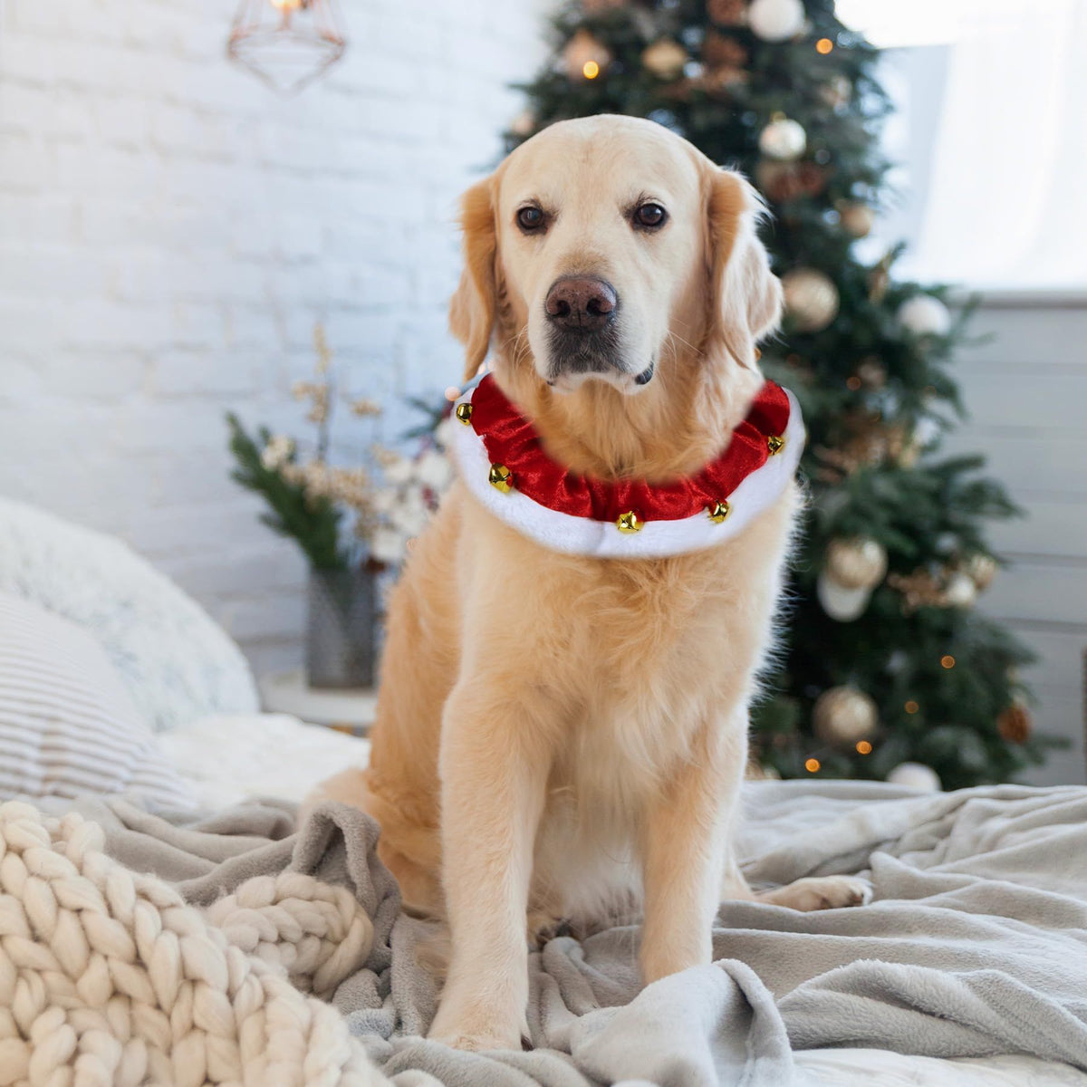 Dog Outfit, Christmas Dog Collar with Bells Ornaments Holiday Neckwear Costume Clothes for Small Medium Large Dogs Pets (Red, L)