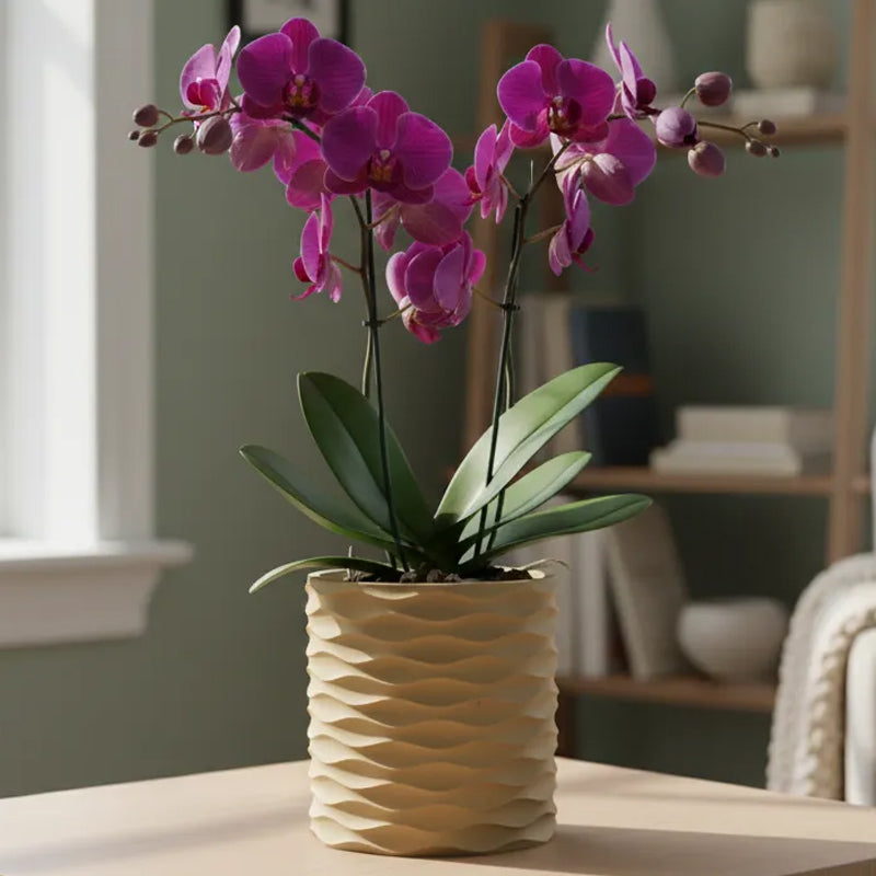 3D Printed Modern Wave Flower Pot - Water-Storing Twist Base