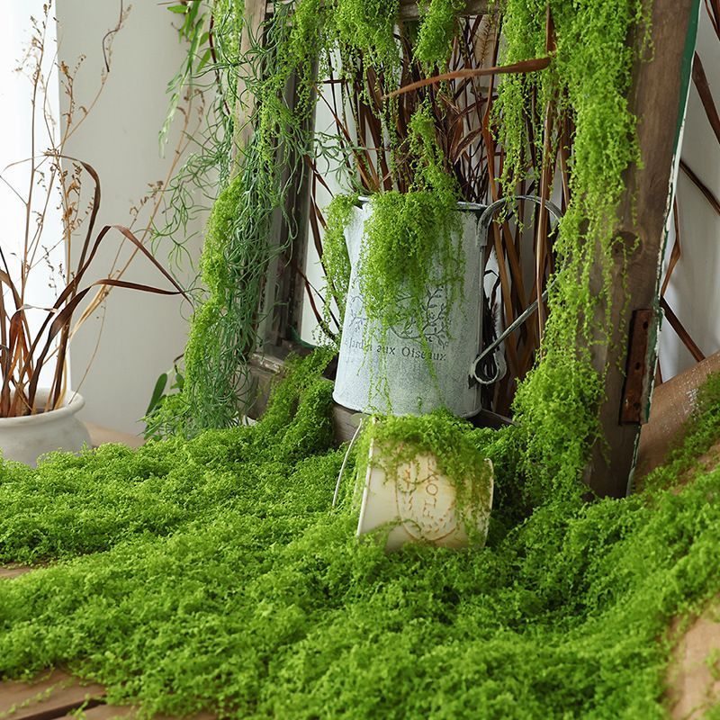 30g Light Green Artificial Stringy Moss-2 Pack