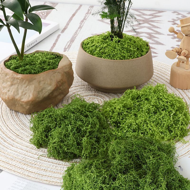 30g Light Green Artificial Stringy Moss-2 Pack