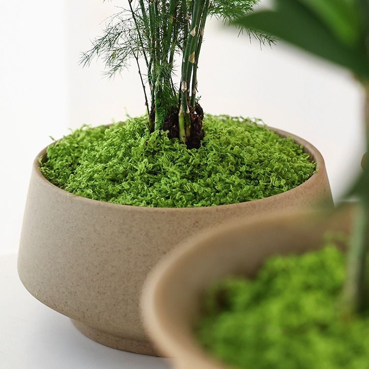 50g Dark Green Artificial Stringy Moss