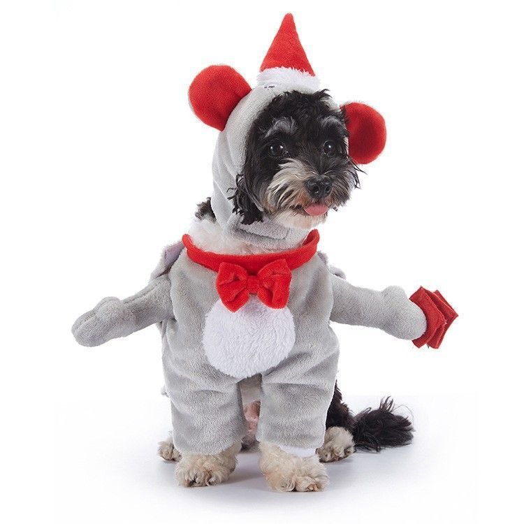 Holiday Decor Accessory for Cats & Dogs, Dress-up Ornament Used for Halloween Christmas Family Gatherings, Size M