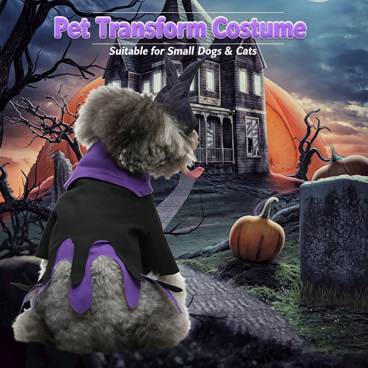 S Size Arctic Dream Pet Costume, Fancy Dress for Halloween & Christmas, Lightweight for 2-3 kg Dogs and Cats