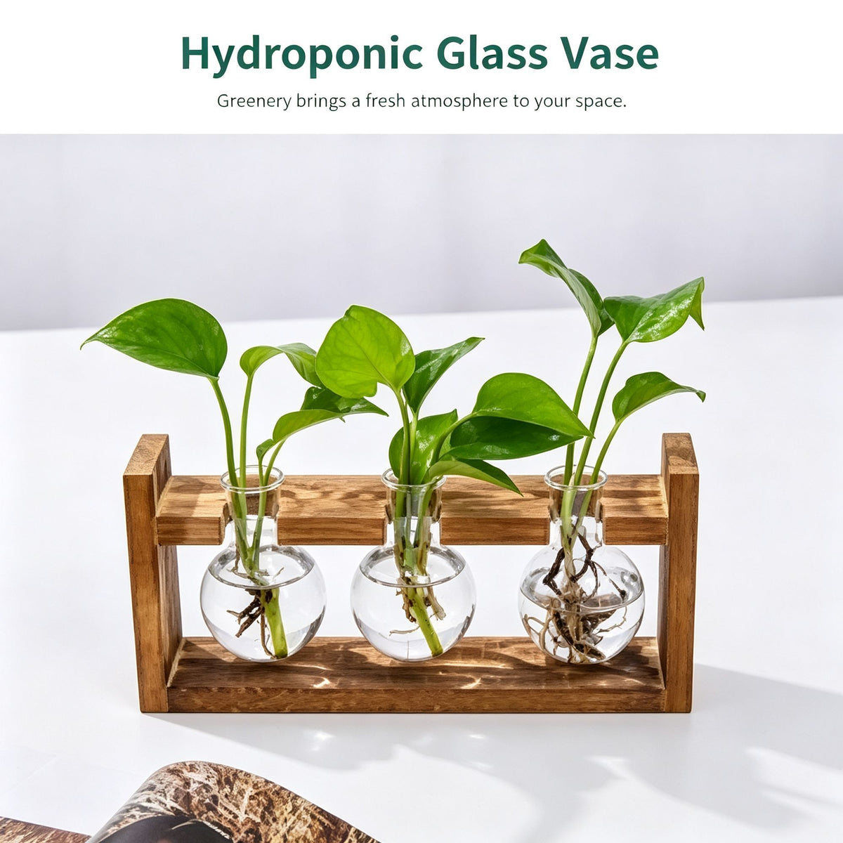 Triple Round Glass Vases with Snap-Fit Wooden Stand | Christmas Lush Layered Gift | 3-Piece Hydroponic Glass Planter Set Desktop Plant Display